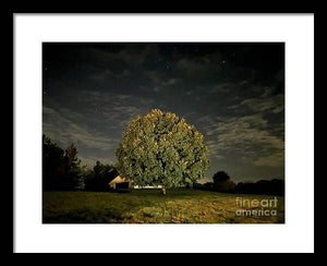 Dreaming Tree - Framed Print