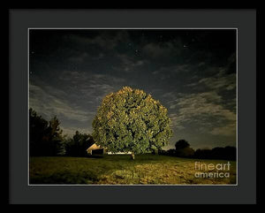 Dreaming Tree - Framed Print