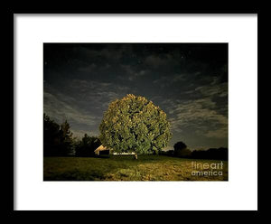 Dreaming Tree - Framed Print