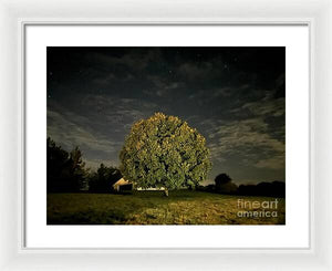 Dreaming Tree - Framed Print