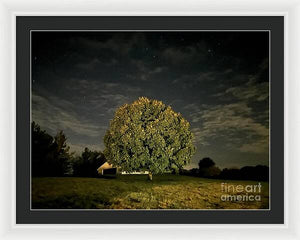 Dreaming Tree - Framed Print