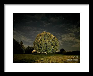 Dreaming Tree - Framed Print