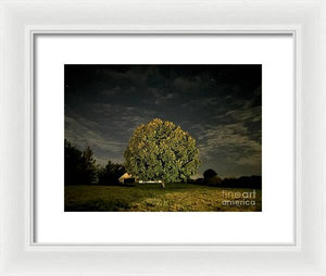 Dreaming Tree - Framed Print