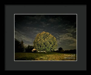 Dreaming Tree - Framed Print