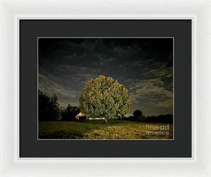 Dreaming Tree - Framed Print