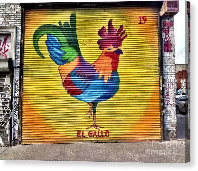 El Gallo - Canvas Print