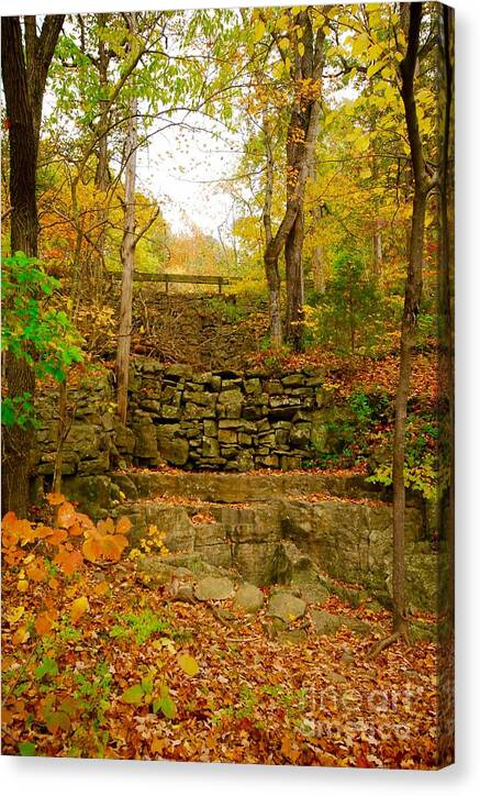 Fall Wall - Canvas Print