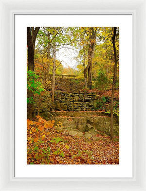 Fall Wall - Framed Print