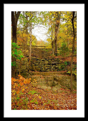 Fall Wall - Framed Print