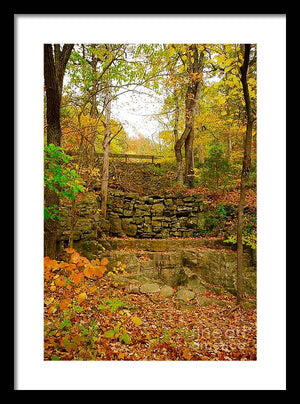 Fall Wall - Framed Print