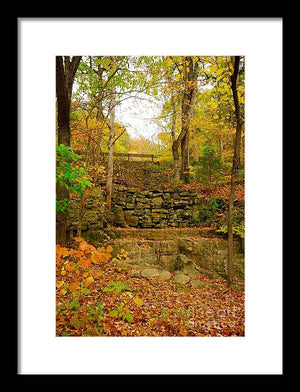 Fall Wall - Framed Print