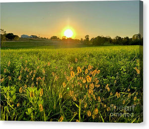 Fuzzy Sunset - Canvas Print