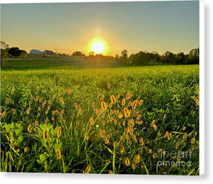 Fuzzy Sunset - Canvas Print