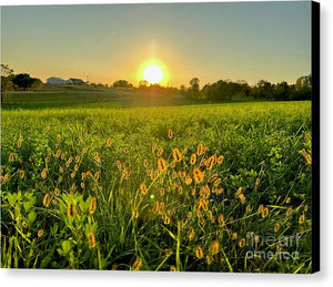 Fuzzy Sunset - Canvas Print