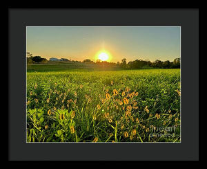 Fuzzy Sunset - Framed Print