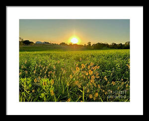 Fuzzy Sunset - Framed Print