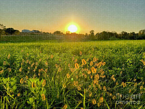 Fuzzy Sunset - Puzzle