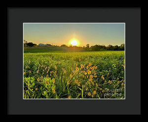 Fuzzy Sunset - Framed Print