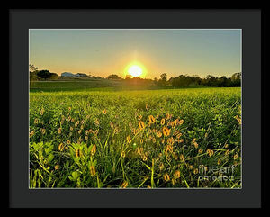 Fuzzy Sunset - Framed Print