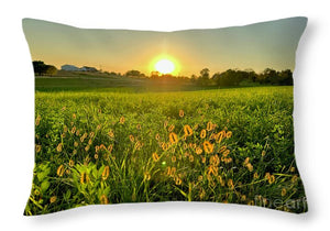 Fuzzy Sunset - Throw Pillow