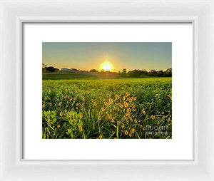 Fuzzy Sunset - Framed Print