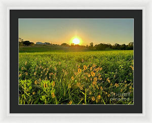 Fuzzy Sunset - Framed Print