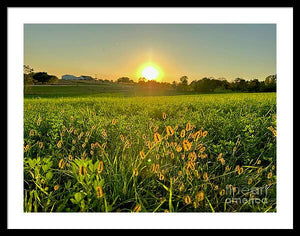 Fuzzy Sunset - Framed Print