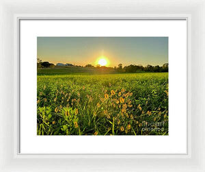 Fuzzy Sunset - Framed Print