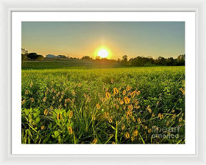 Fuzzy Sunset - Framed Print