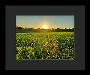 Fuzzy Sunset - Framed Print