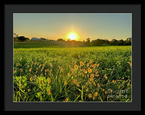 Fuzzy Sunset - Framed Print