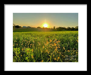 Fuzzy Sunset - Framed Print