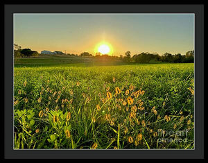 Fuzzy Sunset - Framed Print