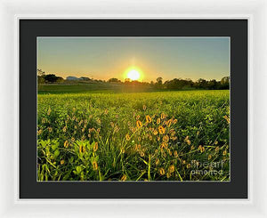 Fuzzy Sunset - Framed Print