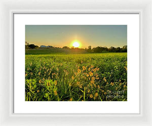 Fuzzy Sunset - Framed Print