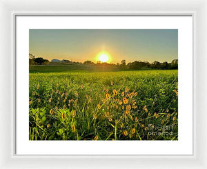 Fuzzy Sunset - Framed Print