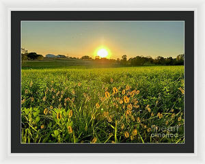 Fuzzy Sunset - Framed Print