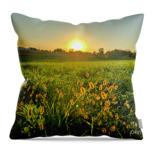 Fuzzy Sunset - Throw Pillow