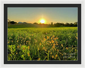 Fuzzy Sunset - Framed Print