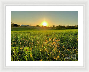 Fuzzy Sunset - Framed Print