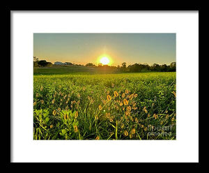 Fuzzy Sunset - Framed Print