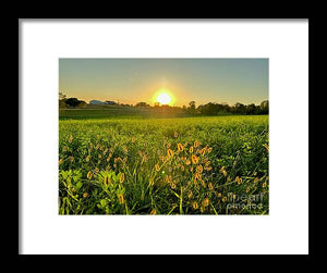 Fuzzy Sunset - Framed Print