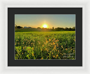 Fuzzy Sunset - Framed Print