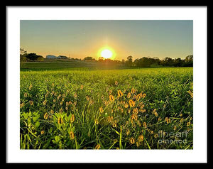 Fuzzy Sunset - Framed Print