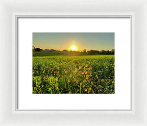 Fuzzy Sunset - Framed Print