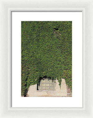 Ivy League - Framed Print