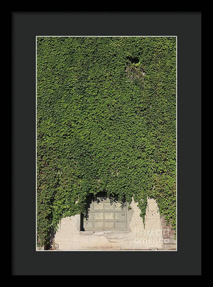 Ivy League - Framed Print