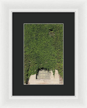 Ivy League - Framed Print