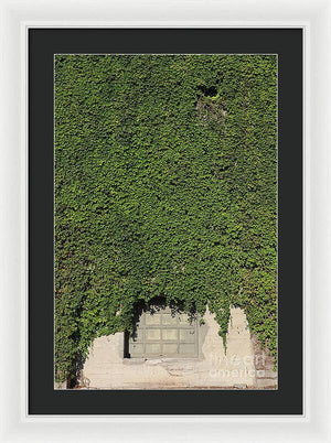 Ivy League - Framed Print