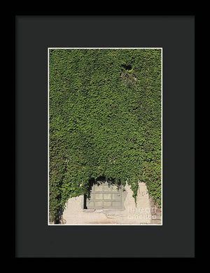 Ivy League - Framed Print